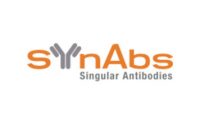 SYnAbs